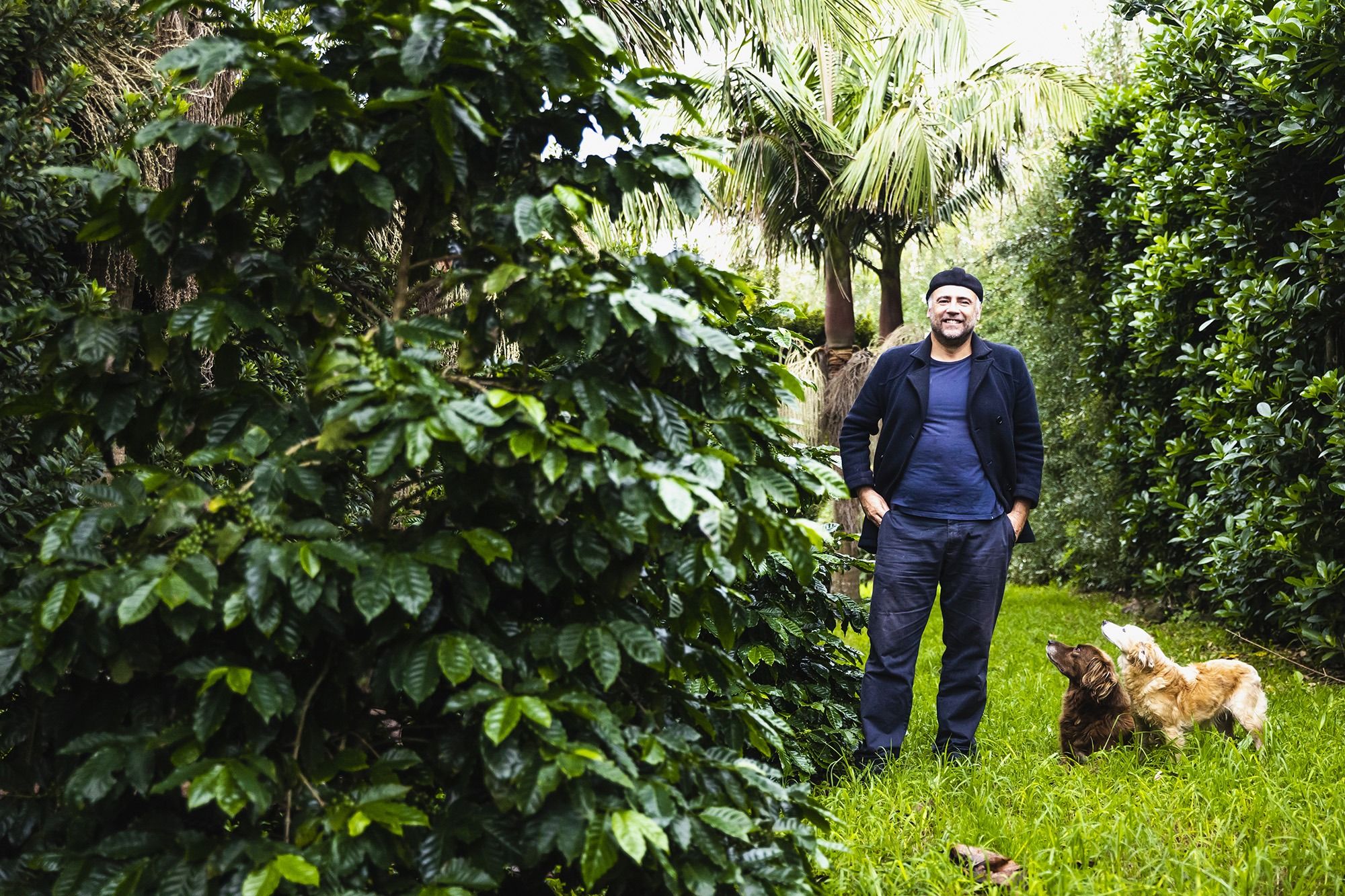 O primeiro café português é cultivado nos Açores e resulta de uma parceria com produtores locais e instituições regionais.