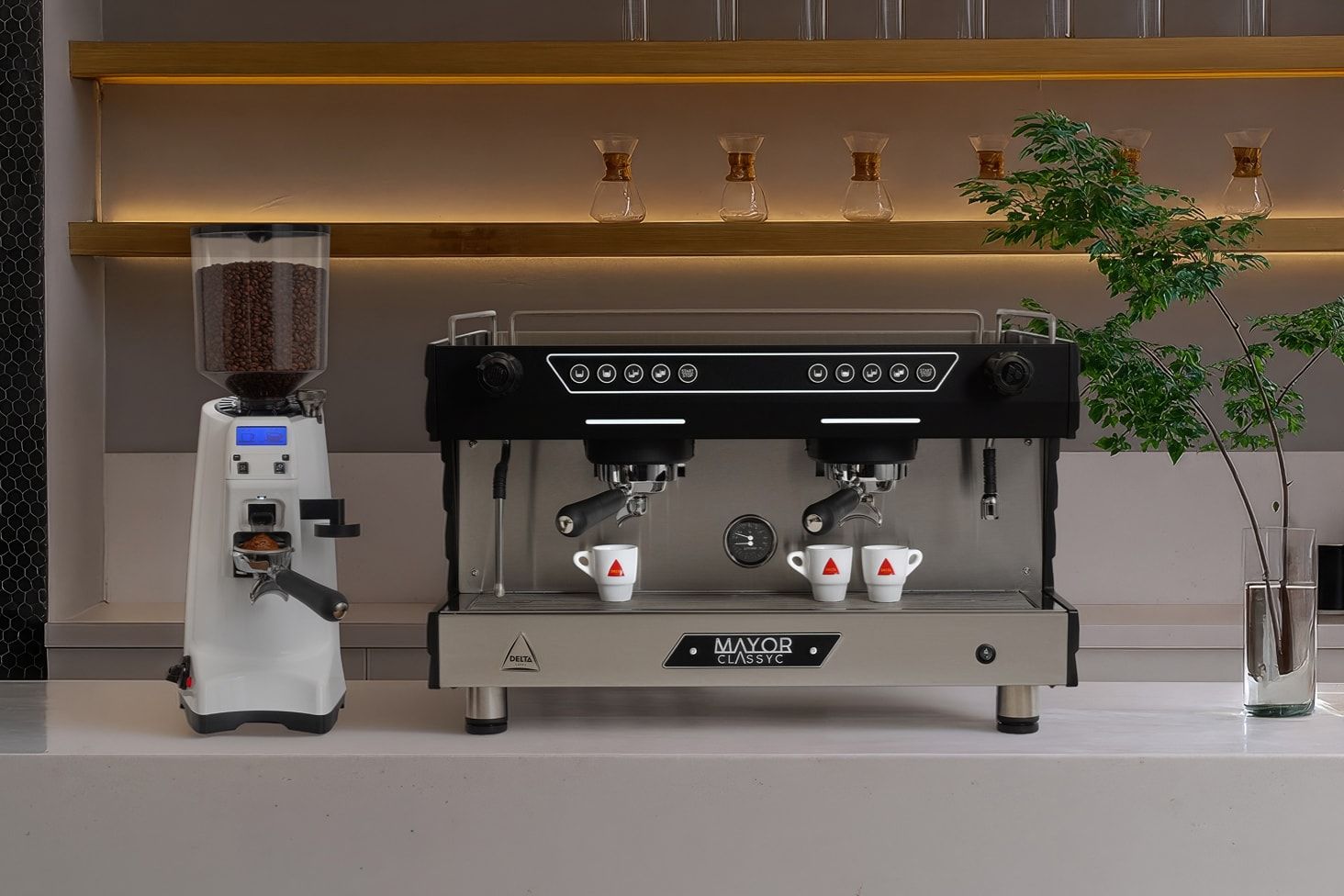 Máquina de café Mayor Xevora 65 OD